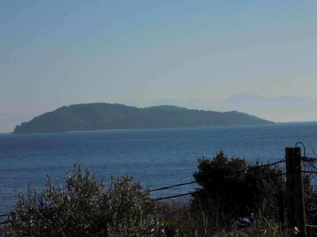 Rhodon House Apartment Skiathos Town Luaran gambar